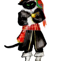 piratecat.jpg