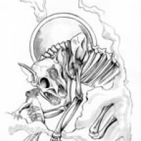 bonecat_small.jpg
