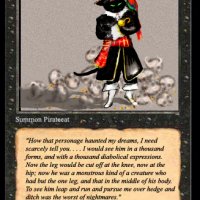 magiccardpiratecat.jpg