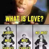 41037-what-is-love-larry-moe-curley-moe-curley-no-moe.jpg