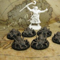 smal spiders(Large).JPG