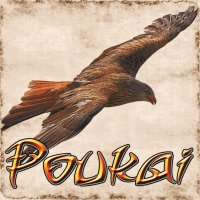 Poukai dnd 5e banner.jpg