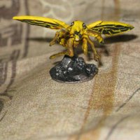 bee-1.JPG