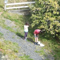 IMG_20200320_142633.jpg