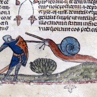 medieval-snails1.jpg
