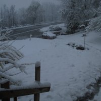 5 9 2020 snow.jpg