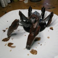 carcas crab (1).JPG