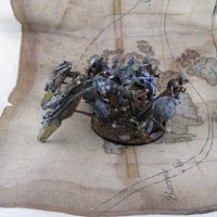 carcas crab (4).JPG