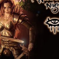 ws_Neverwinter_nights_640x960.jpg