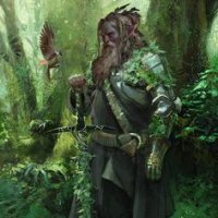 forest firbolg.jpg