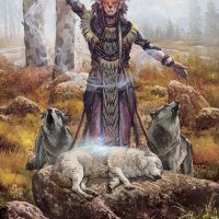 fateforge_fantasy_art_druid.jpg