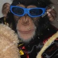 bono chimp.jpg