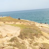 IMG_20191026_155637.jpg