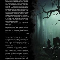Paladin - Oath of The Veiled Shadow_HR_2.jpg