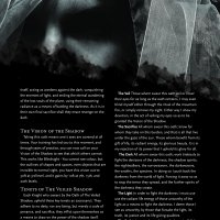 Paladin - Oath of The Veiled Shadow_HR_3.jpg