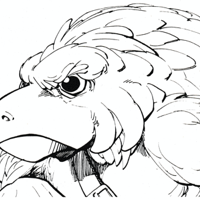 2. Aarakocra 1981 - Fiend Folio A.png