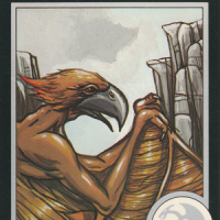 7. Aarakocra 1992 - Trading Card 1:750.png