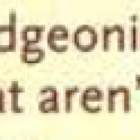 1603481917258.png