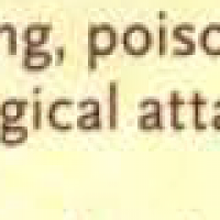 1603482032208.png