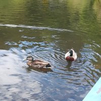 IMG_20201101_122355.jpg