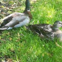 IMG_20201101_124545.jpg