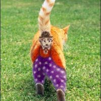 costume1.JPG