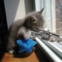 sniper cat.jpg
