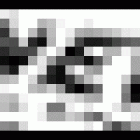 news.gif