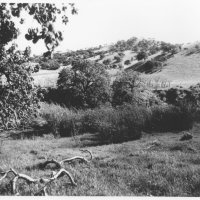 ChauzuPhoto26.jpg