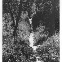 ChauzuPhoto28.jpg
