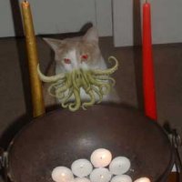 kcpcatkid.JPG