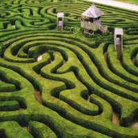 hedge maze2.jpg