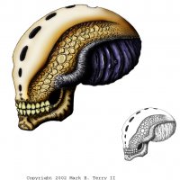 AlienSkull-2.jpg
