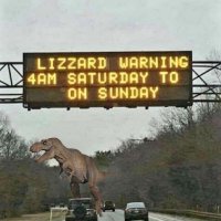 LizzardWarning.jpg