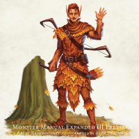 Young Autumn Eladrin.png