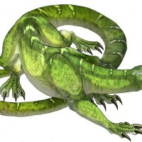 Nagasaur - Corallus Caninus by Isis Masshiro.jpg