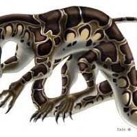 Nagasaur - Python Molurus by Isis Masshiro.jpg