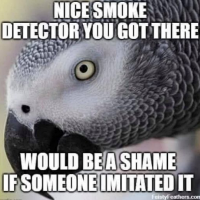 1609170920039.png