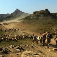 altai plain, xinjiang.jpg