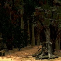 Enter the Dark Forest.jpg