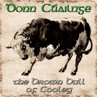 Donn Cúailnge Brown Bull of Cooley DnD 5e BANNER.jpg