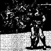 CD-8 copy.png