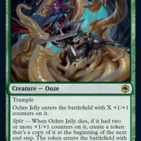 en_TJ8pZSQIeD.png
