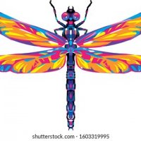 abstract-polygonal-colorful-dragonfly-illustration-260nw-1603319995.jpg