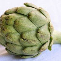 artichoke.jpg