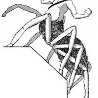 1. Drider 1980 - Queen of the Demonweb Pits A-1.png