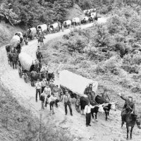 wagon-train.jpg