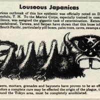 Louseous Japanicas.jpg