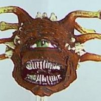 beholder.jpg