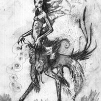 phoetaur.jpg